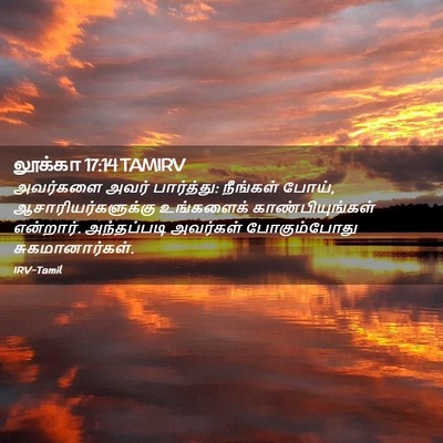 Picture 02 - லூக்கா 17:14 TAMIRV - அவர்களை அவர் - Bible Verse Picture