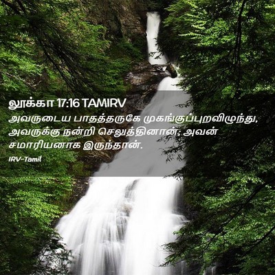 Picture 02 - லூக்கா 17:16 TAMIRV - அவருடைய - Bible Verse Picture