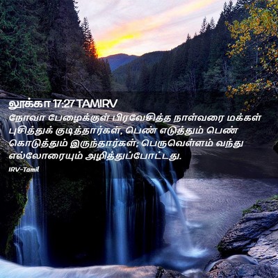 Picture 02 - லூக்கா 17:27 TAMIRV - நோவா பேழைக்குள் - Bible Verse Picture