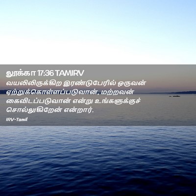 Picture 02 - லூக்கா 17:36 TAMIRV - வயலிலிருக்கிற - Bible Verse Picture