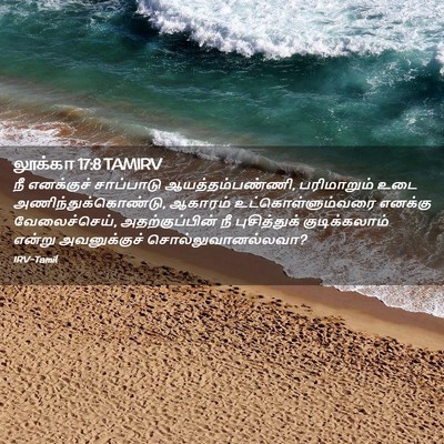 Picture 02 - லூக்கா 17:8 TAMIRV - நீ எனக்குச் - Bible Verse Picture