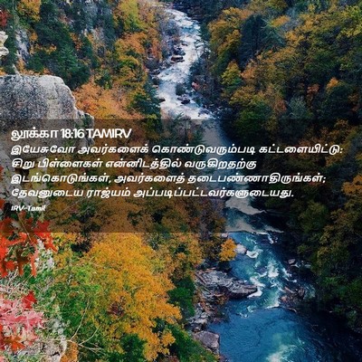 Picture 02 - லூக்கா 18:16 TAMIRV - இயேசுவோ அவர்களைக் - Bible Verse Picture