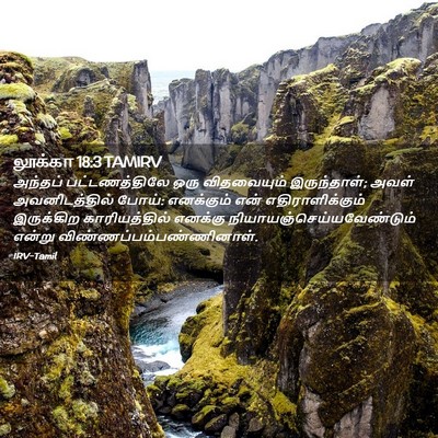 Picture 02 - லூக்கா 18:3 TAMIRV - அந்தப் - Bible Verse Picture