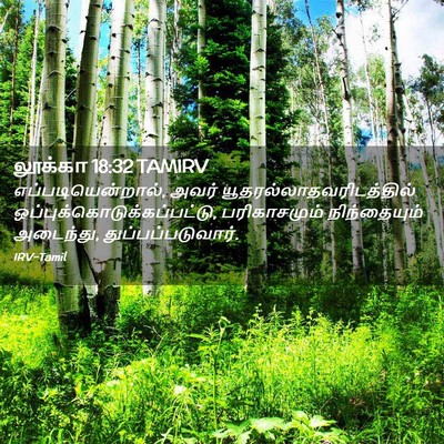 Picture 02 - லூக்கா 18:32 TAMIRV - எப்படியென்றால், - Bible Verse Picture