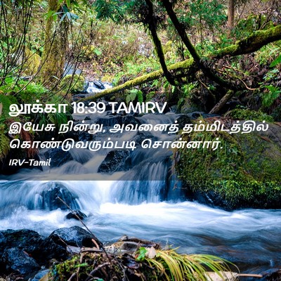 Picture 02 - லூக்கா 18:39 TAMIRV - இயேசு நின்று, - Bible Verse Picture