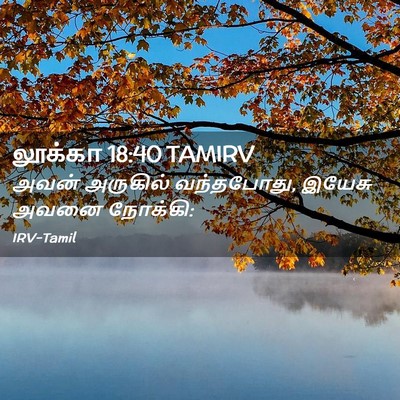 Picture 02 - லூக்கா 18:40 TAMIRV - அவன் அருகில் - Bible Verse Picture