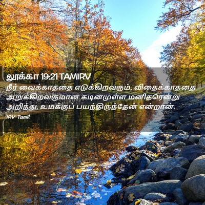 Picture 02 - லூக்கா 19:21 TAMIRV - நீர் வைக்காததை - Bible Verse Picture
