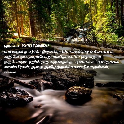 Picture 02 - லூக்கா 19:30 TAMIRV - உங்களுக்கு எதிரே - Bible Verse Picture