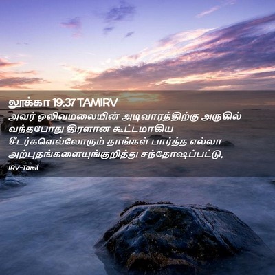 Picture 02 - லூக்கா 19:37 TAMIRV - அவர் ஒலிவமலையின் - Bible Verse Picture