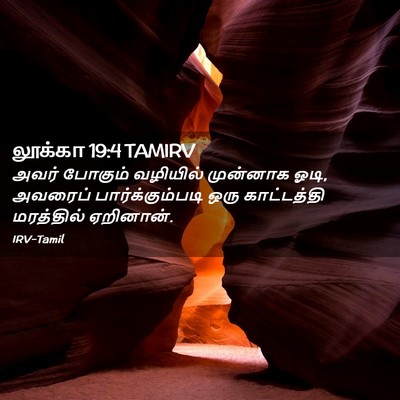 Picture 02 - லூக்கா 19:4 TAMIRV - அவர் போகும் - Bible Verse Picture