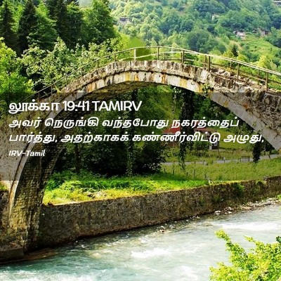 Picture 02 - லூக்கா 19:41 TAMIRV - அவர் நெருங்கி - Bible Verse Picture
