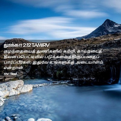 Picture 02 - லூக்கா 2:12 TAMIRV - குழந்தையைத் - Bible Verse Picture