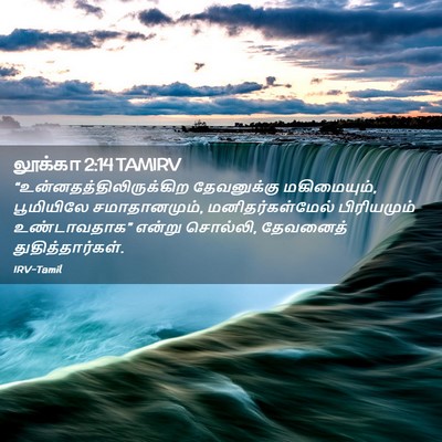 Picture 02 - லூக்கா 2:14 TAMIRV -  - Bible Verse Picture