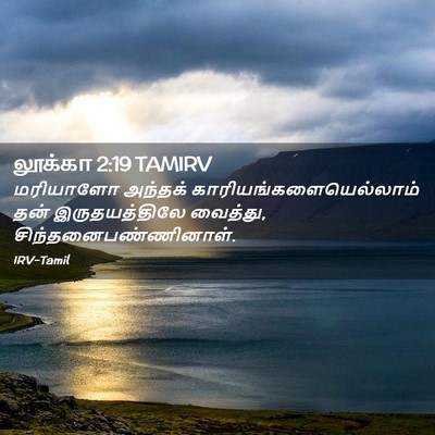 Picture 02 - லூக்கா 2:19 TAMIRV - மரியாளோ அந்தக் - Bible Verse Picture