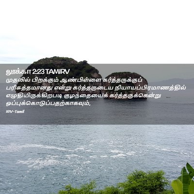 Picture 02 - லூக்கா 2:23 TAMIRV - முதலில் பிறக்கும் - Bible Verse Picture