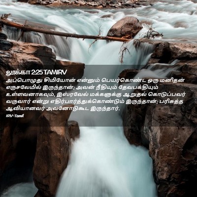 Picture 02 - லூக்கா 2:25 TAMIRV - அப்பொழுது - Bible Verse Picture