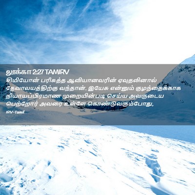 Picture 02 - லூக்கா 2:27 TAMIRV - சிமியோன் பரிசுத்த - Bible Verse Picture
