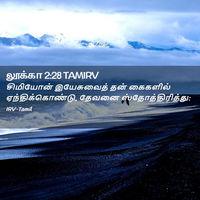 Picture 02 - லூக்கா 2:28 TAMIRV - சிமியோன் - Bible Verse Picture