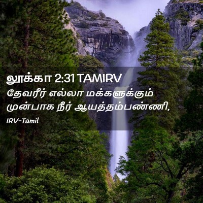 Picture 02 - லூக்கா 2:31 TAMIRV - தேவரீர் எல்லா - Bible Verse Picture