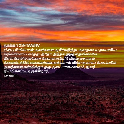 Picture 02 - லூக்கா 2:34 TAMIRV - பின்பு சிமியோன் - Bible Verse Picture