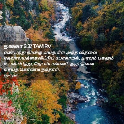 Picture 02 - லூக்கா 2:37 TAMIRV - எண்பத்து நான்கு - Bible Verse Picture