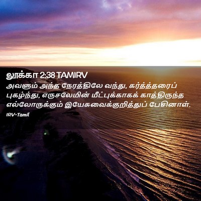 Picture 02 - லூக்கா 2:38 TAMIRV - அவளும் அந்த - Bible Verse Picture