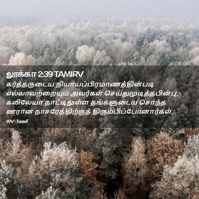 Picture 02 - லூக்கா 2:39 TAMIRV - கர்த்தருடைய - Bible Verse Picture