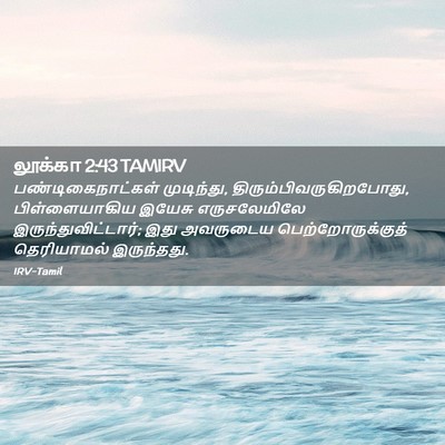 Picture 02 - லூக்கா 2:43 TAMIRV - பண்டிகைநாட்கள் - Bible Verse Picture