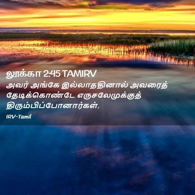 Picture 02 - லூக்கா 2:45 TAMIRV - அவர் அங்கே - Bible Verse Picture