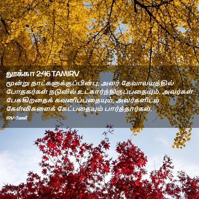 Picture 02 - லூக்கா 2:46 TAMIRV - மூன்று - Bible Verse Picture