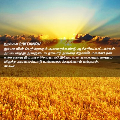 Picture 02 - லூக்கா 2:48 TAMIRV - இயேசுவின் - Bible Verse Picture