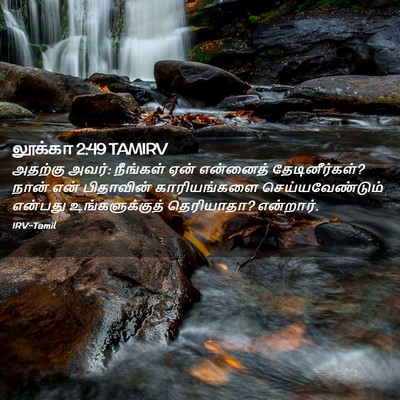 Picture 02 - லூக்கா 2:49 TAMIRV - அதற்கு அவர்: - Bible Verse Picture