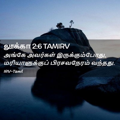 Picture 02 - லூக்கா 2:6 TAMIRV - அங்கே அவர்கள் - Bible Verse Picture