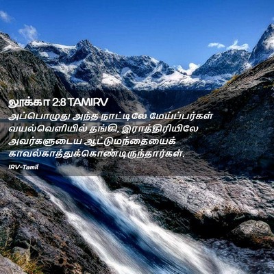 Picture 02 - லூக்கா 2:8 TAMIRV - அப்பொழுது அந்த - Bible Verse Picture