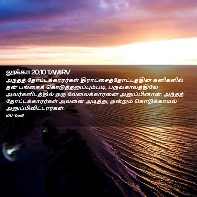 Picture 02 - லூக்கா 20:10 TAMIRV - அந்தத் - Bible Verse Picture