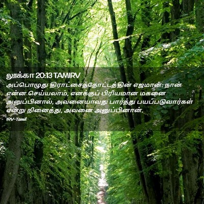 Picture 02 - லூக்கா 20:13 TAMIRV - அப்பொழுது - Bible Verse Picture