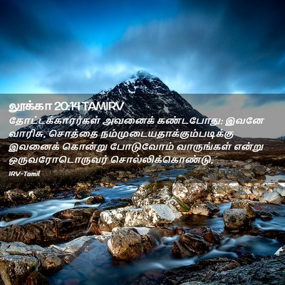 Picture 02 - லூக்கா 20:14 TAMIRV - தோட்டக்காரர்கள் - Bible Verse Picture