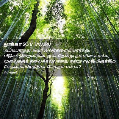 Picture 02 - லூக்கா 20:17 TAMIRV - அப்பொழுது அவர் - Bible Verse Picture
