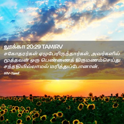 Picture 02 - லூக்கா 20:29 TAMIRV - சகோதரர்கள் - Bible Verse Picture