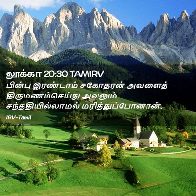 Picture 02 - லூக்கா 20:30 TAMIRV - பின்பு இரண்டாம் - Bible Verse Picture