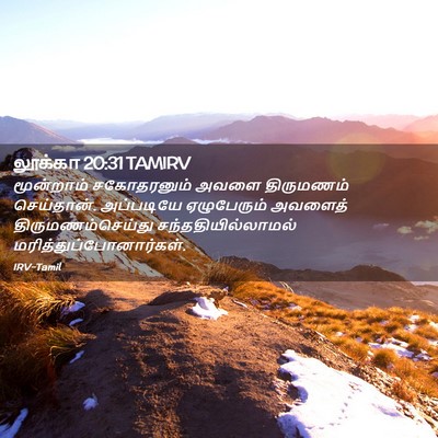 Picture 02 - லூக்கா 20:31 TAMIRV - மூன்றாம் - Bible Verse Picture