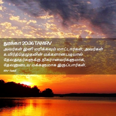 Picture 02 - லூக்கா 20:36 TAMIRV - அவர்கள் இனி - Bible Verse Picture