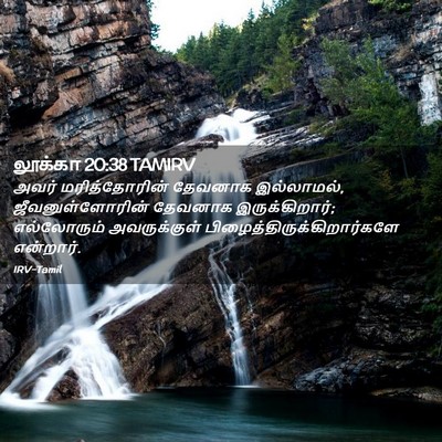 Picture 02 - லூக்கா 20:38 TAMIRV - அவர் மரித்தோரின் - Bible Verse Picture