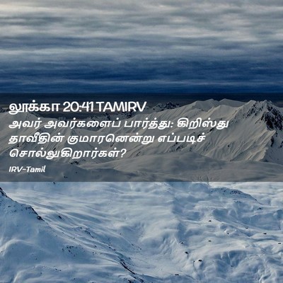 Picture 02 - லூக்கா 20:41 TAMIRV - அவர் அவர்களைப் - Bible Verse Picture