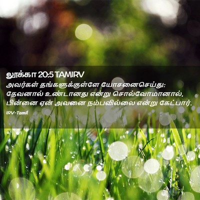 Picture 02 - லூக்கா 20:5 TAMIRV - அவர்கள் - Bible Verse Picture