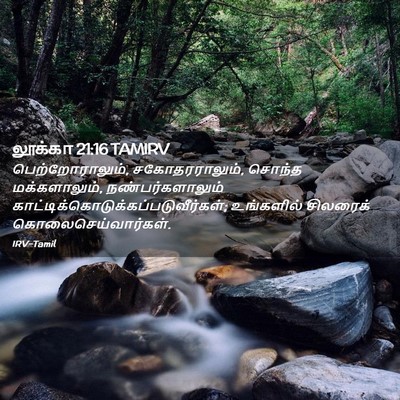 Picture 02 - லூக்கா 21:16 TAMIRV - பெற்றோராலும், - Bible Verse Picture