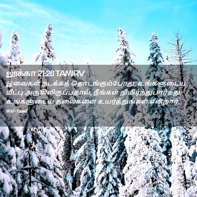 Picture 02 - லூக்கா 21:28 TAMIRV - இவைகள் நடக்கத் - Bible Verse Picture