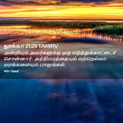 Picture 02 - லூக்கா 21:29 TAMIRV - அன்றியும் - Bible Verse Picture