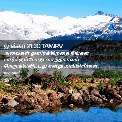 Picture 02 - லூக்கா 21:30 TAMIRV - அவைகள் - Bible Verse Picture