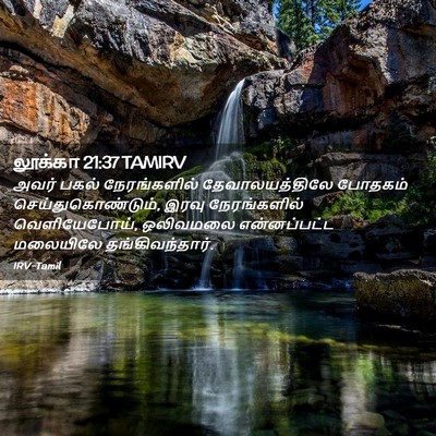 Picture 02 - லூக்கா 21:37 TAMIRV - அவர் பகல் - Bible Verse Picture